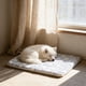 thumbnail image 1 of Manta de invierno para mascotas ZJT250131430 | Cojín de cama para perros y gatos de doble cara, suave, grueso, cálido y acogedor | Funda aislante plegable y portátil para sofá, coche o mascotas, 1 of 5