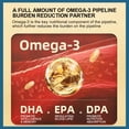 thumbnail image 4 of Omega 3 Capsules with EPA DHA, Support Brain Heart & Eye Health, Joint Mobility & Immune Support, 1000mg Per Serving, 4 of 5
