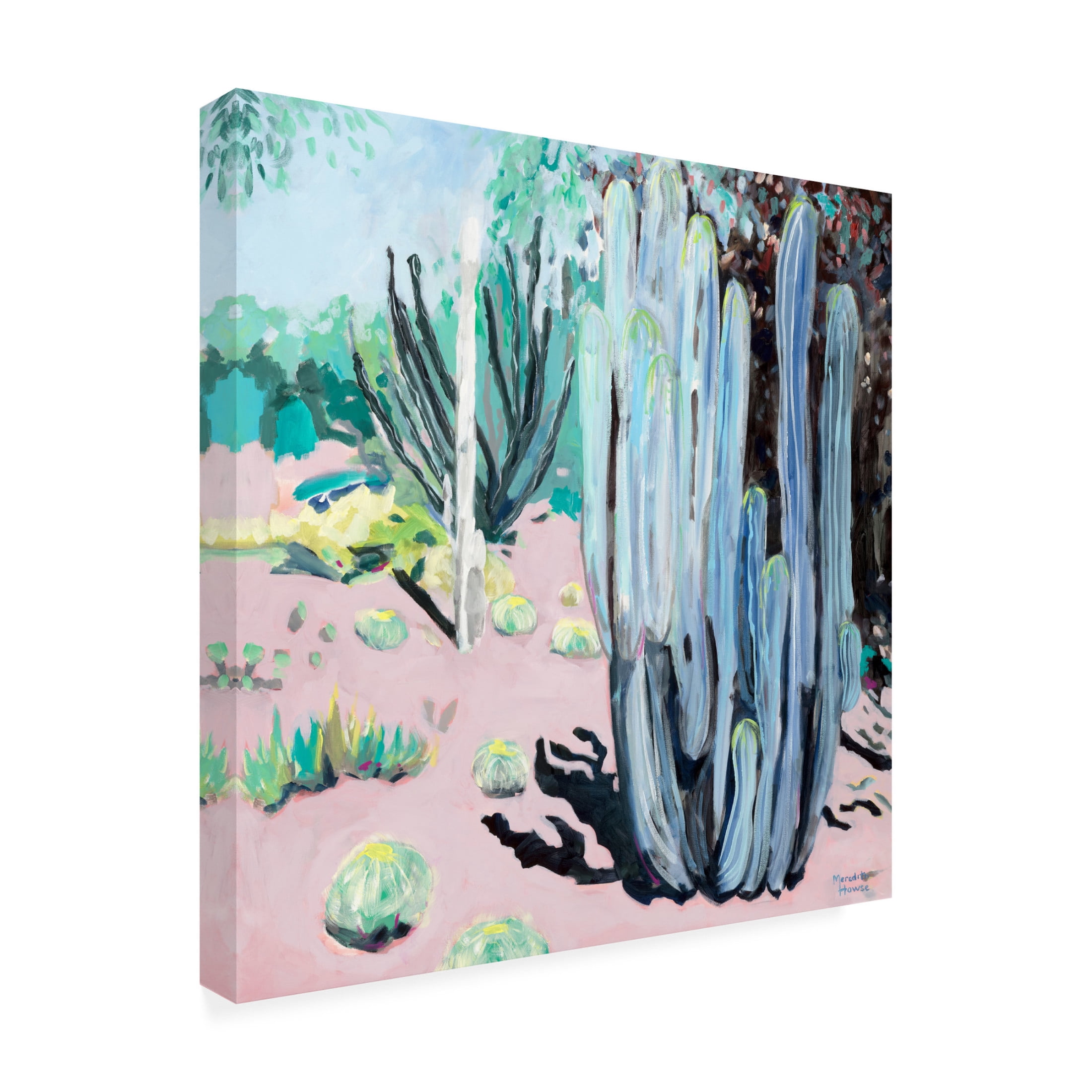 Canvas Wall Art - Meredith Howse 'Succulent Society' Wall Art for Living Room, Bedroom, or Office Décor by Trademark Fine Art - 24 x 24 Inches