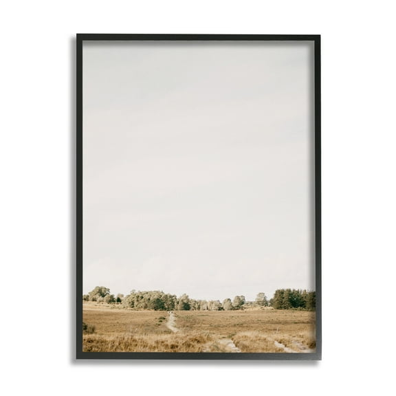 Stupell Industries Country Sky Photography Landscape Photography Black Framed Art Print Wall Art, 11 x 14