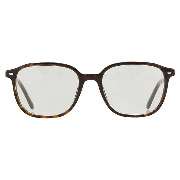 Sunglasses Ray-Ban RB 2193 902/GH Leonard Havana Grey
