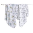 thumbnail image 1 of Disney 2-Pack Flannel Receiving Blankets, 1 of 5