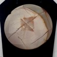 thumbnail image 3 of Picture Jasper Round Coin Pendant Bead | 50x10mm | 1 Bead |, 3 of 10
