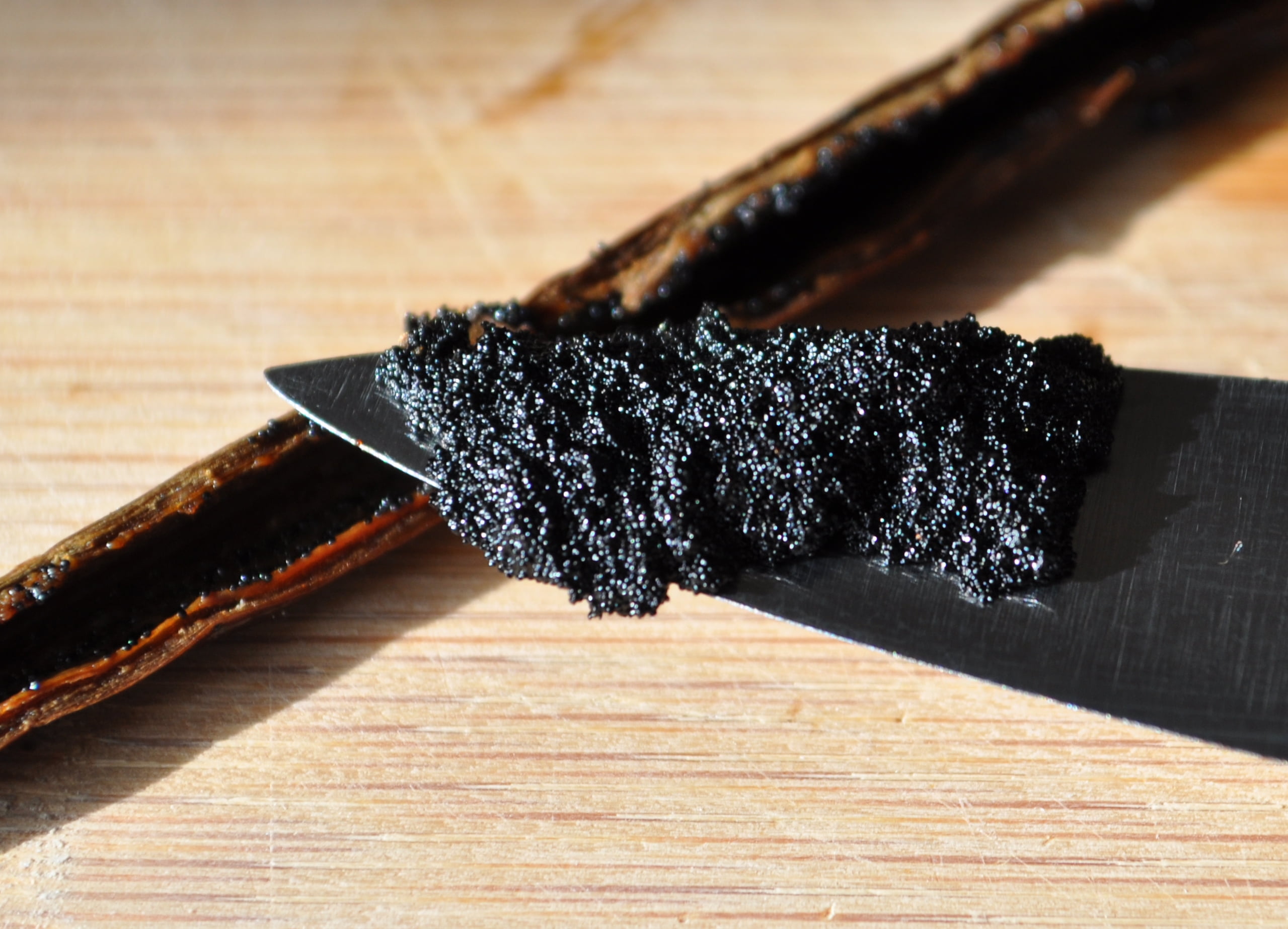 1 lb Vanilla Beans - Whole Extract Grade B Pods for Baking, Homemade Extract, Brewing, Coffee, Cooking - 16 Ounces | (Tahitian)