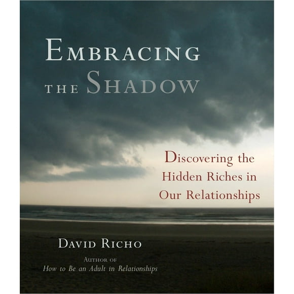 Embracing the Shadow : Discovering the Hidden Riches in Our Relationships