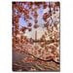 Trademark Fine Art "Cherry Blossoms at the Washington Monument" Canvas Art by Lois Bryan