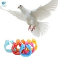 thumbnail image 5 of Deago 100 Pcs Bird Rings Leg Bands For Pigeon Parrot Lovebird Coturnix Quail Chicken Goose Turkey Clip Rings Number 1-100 (Red), 5 of 9