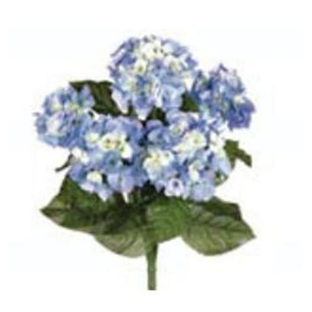 Arbuste Bleu Hortensia de 22 Po X 5 Caisses de 6