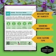 thumbnail image 2 of Self Heal Seeds - Heirloom Partial Shade Perennial Herb - 5 Packs, 2 of 9