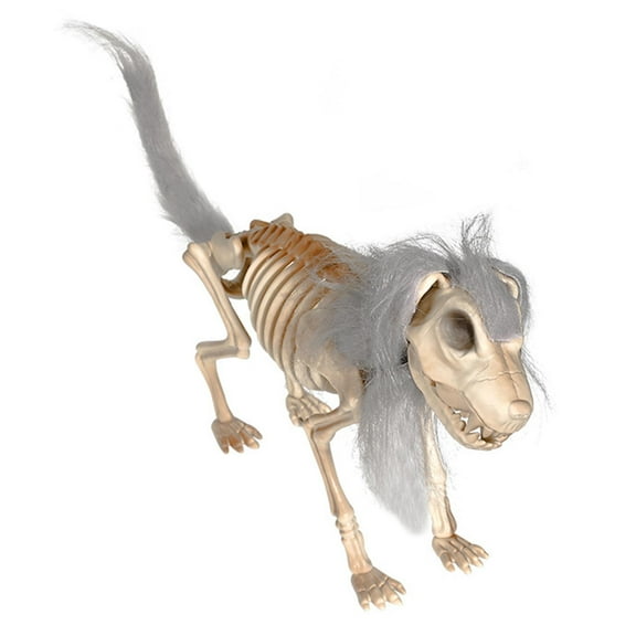 FVDPWYE Halloween Dog Skeleton Decoration 38x8x25cm Multipurpose Sturdy for Spooky Scene