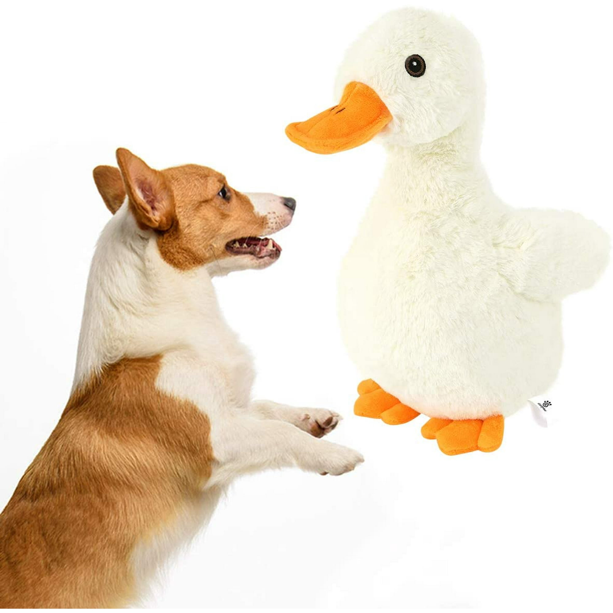 Is Stuffing Toxic To Dogs