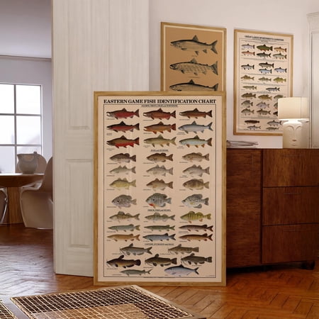 LAVIE Eastern Game Fish Print Vintage Fish Identification Chart Poster Freshwater Fishing Wall Art Antique Fish Species Decor Angler Art Print