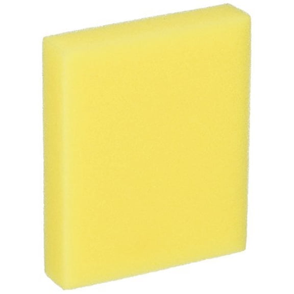 Bissell Pre-Motor 2410 3918 9595 Filter