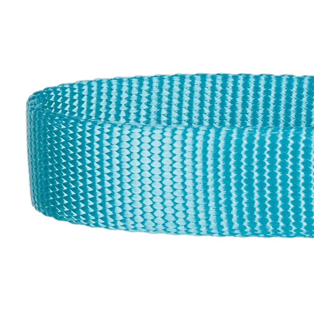 Blueberry Pet Adjustable Dog Martingale Collar Made for Last, Medium Turquoise, Large, Neck 18"-26"