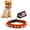Orange, variant on CoyoteCollar Spiked Dog Collar - Brown Small Adjustable and Studded for Protection Against Coyotes and Aggressive Dogs