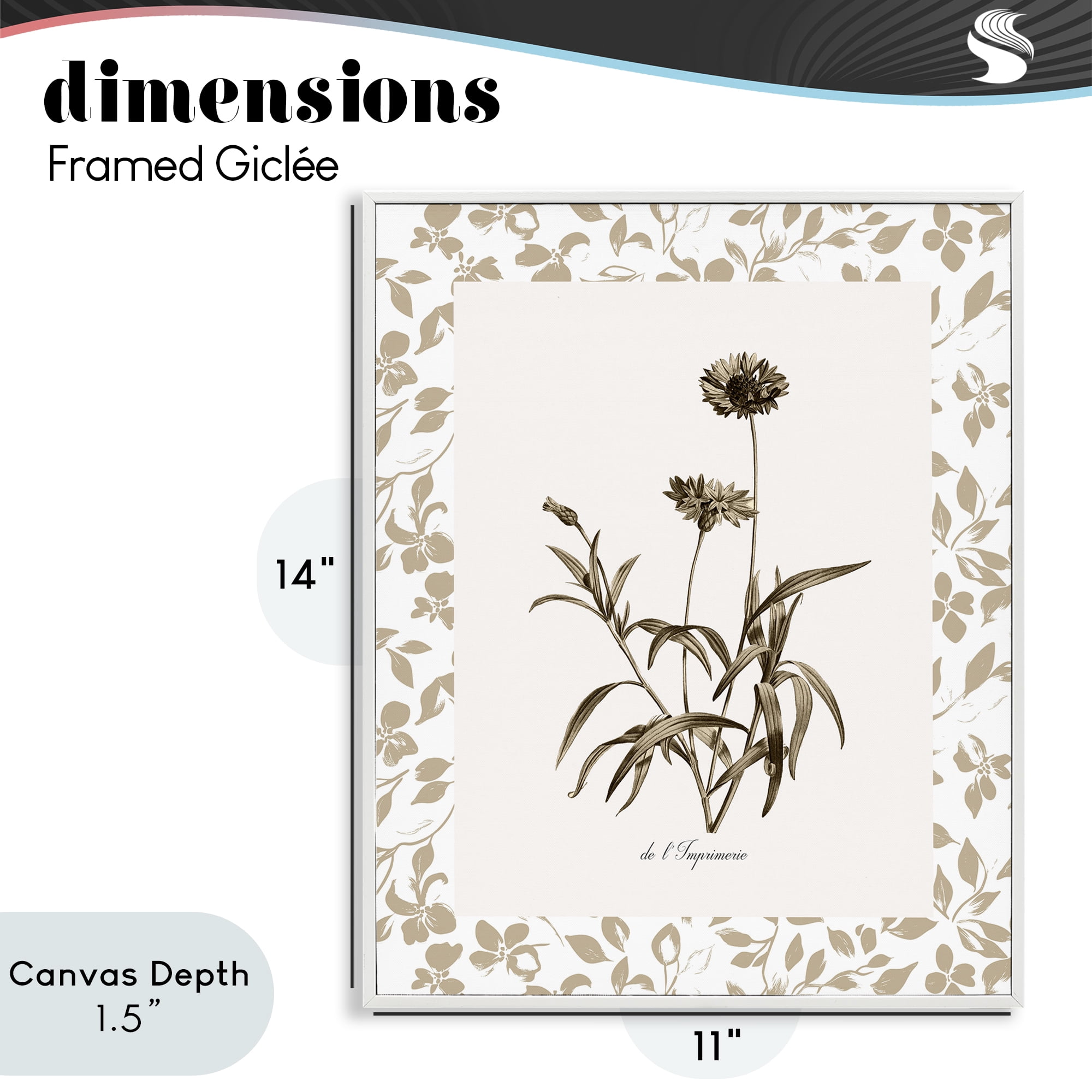 Stupell Industries Neutral Imperial Flowers White Framed Giclee Art, design by Kelly Donovan