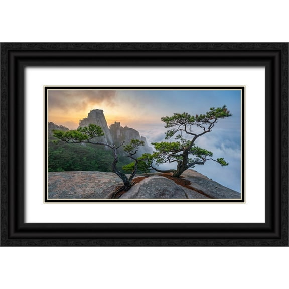 Ryu, Jaeyoun 14x10 Black Ornate Wood Framed with Double Matting Museum Art Print Titled - Dancing Trees Of Eden