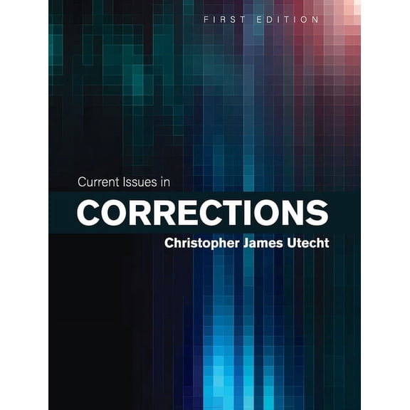 Current Issues in Corrections, (Hardcover)