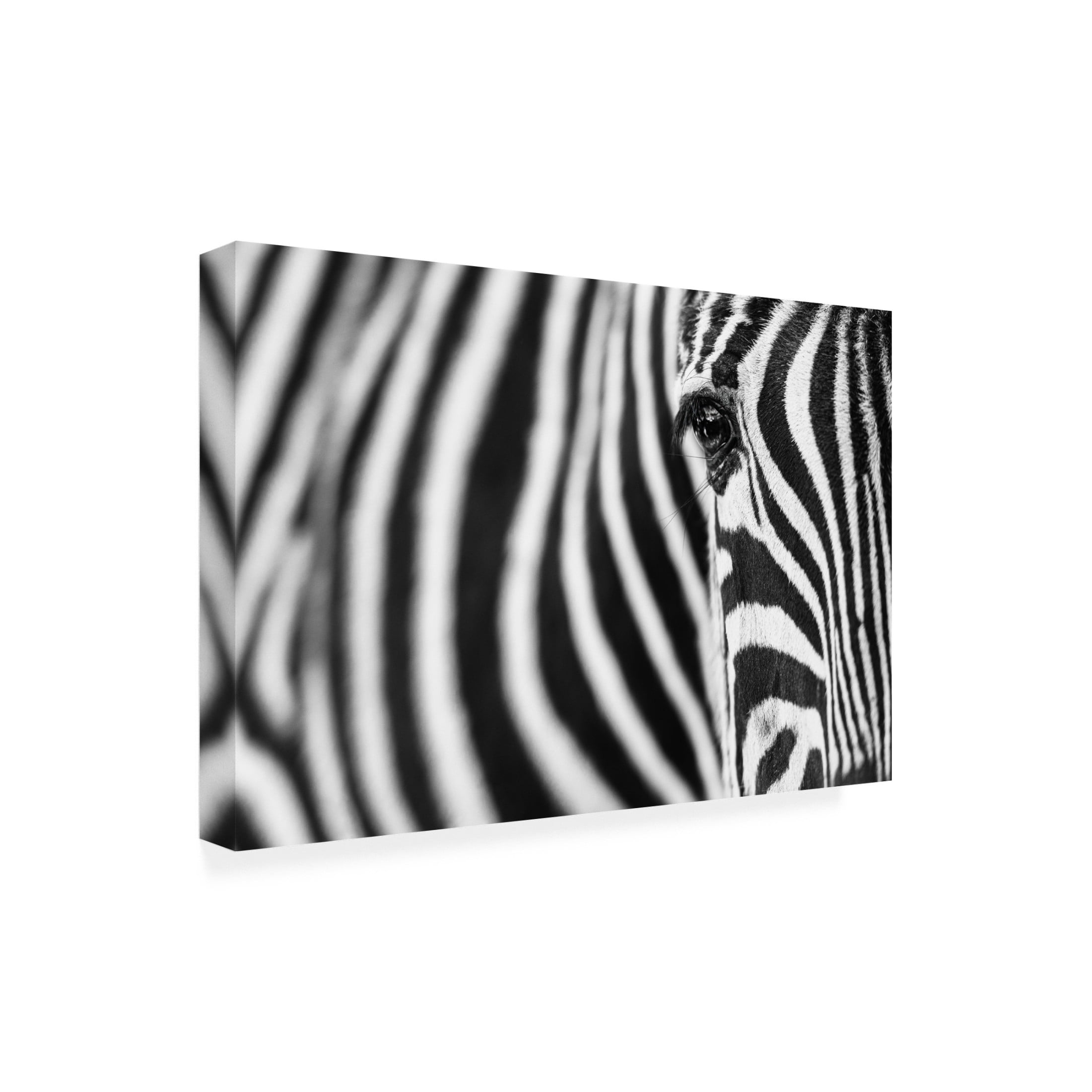 Trademark Fine Art Richard Guijt Zebra Stripes Canvas Wall Art