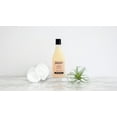 thumbnail image 5 of Sauce Beauty Island Marinade Sulfate & Paraben-Free Frizz Control, Dry & Damaged Hair Shampoo, 10 fl oz, 5 of 6