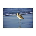 thumbnail image 2 of Gango Home Decor Sandpiper in the Surf I by Alan Hausenflock (Printed on Paper); One 36x24in Fine Art Paper Giclee Print, 2 of 4