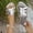 Silver, variant on Women's Metallic Crisscross Strap Slide Sandals, Open Toe Snake-Embossed Flat Slip-On Casual Slides Indoor And Outdoor Silver 42