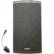 Chromacast 2-way 12" Passive/Active PA Speaker System & Clip On LED Light
