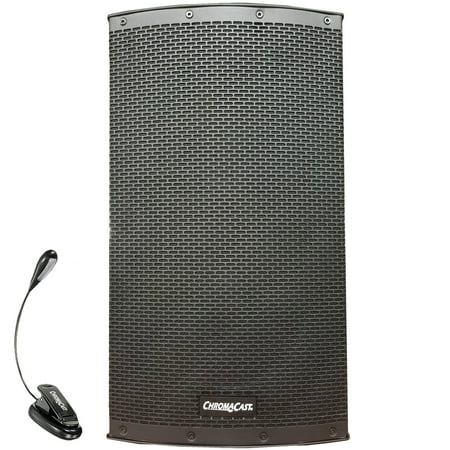 Chromacast 2-way 12" Passive/Active PA Speaker System & Clip On LED Light