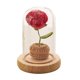 thumbnail image 2 of Flor de Flor de punto hecha a mano con centro de mesa de cúpula Mano de obra exquisita Rosa de Cumpleaños Boda Regalo del día de BLESIY Rosa De Ganchillo, 2 of 8