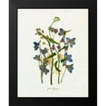 thumbnail image 2 of Caroline, Emma 15x18 Black Modern Framed Museum Art Print Titled - Pressed June Arrangement II, 2 of 5