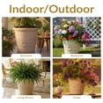 thumbnail image 6 of Sunnydaze Arabella 19.5" x 19.5" x 17.5" Round Antique White Polyresin Outdoor Planter Pot - 4-Pack, 6 of 19