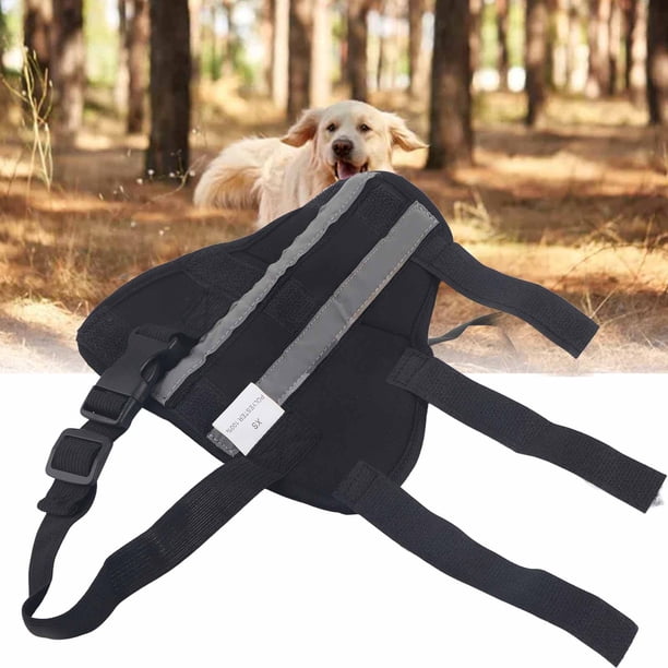 Rodillera Para Pata Trasera De , Soporte Estable, Rodilleras, Protector De Pierna Trasera Para Cachorro Para Recuperación De Cirugía