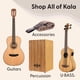 thumbnail image 2 of Kala Klipz - Afinador cromático recargable para guitarra, bajo, violín, ukelele, color blanco, 2 of 6