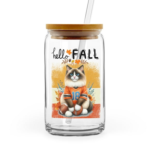 Hello Fall Ragdoll Football Welcome Autumn with Leaves Pumpkins 16oz Glass Cup Mug Cat Lover Kitten Owner Gifts Idea Glass Can with Bamboo Lid and Straw - 00012
