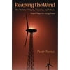 Reaping the Wind : How Mechanical Wizards, Visionaries, and Profiteers Helped Shape Our Energy Future, Used [Hardcover]