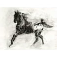 thumbnail image 2 of Harper, Ethan 18x15 White Modern Wood Framed Museum Art Print Titled - Rustic Appaloosa II, 2 of 4