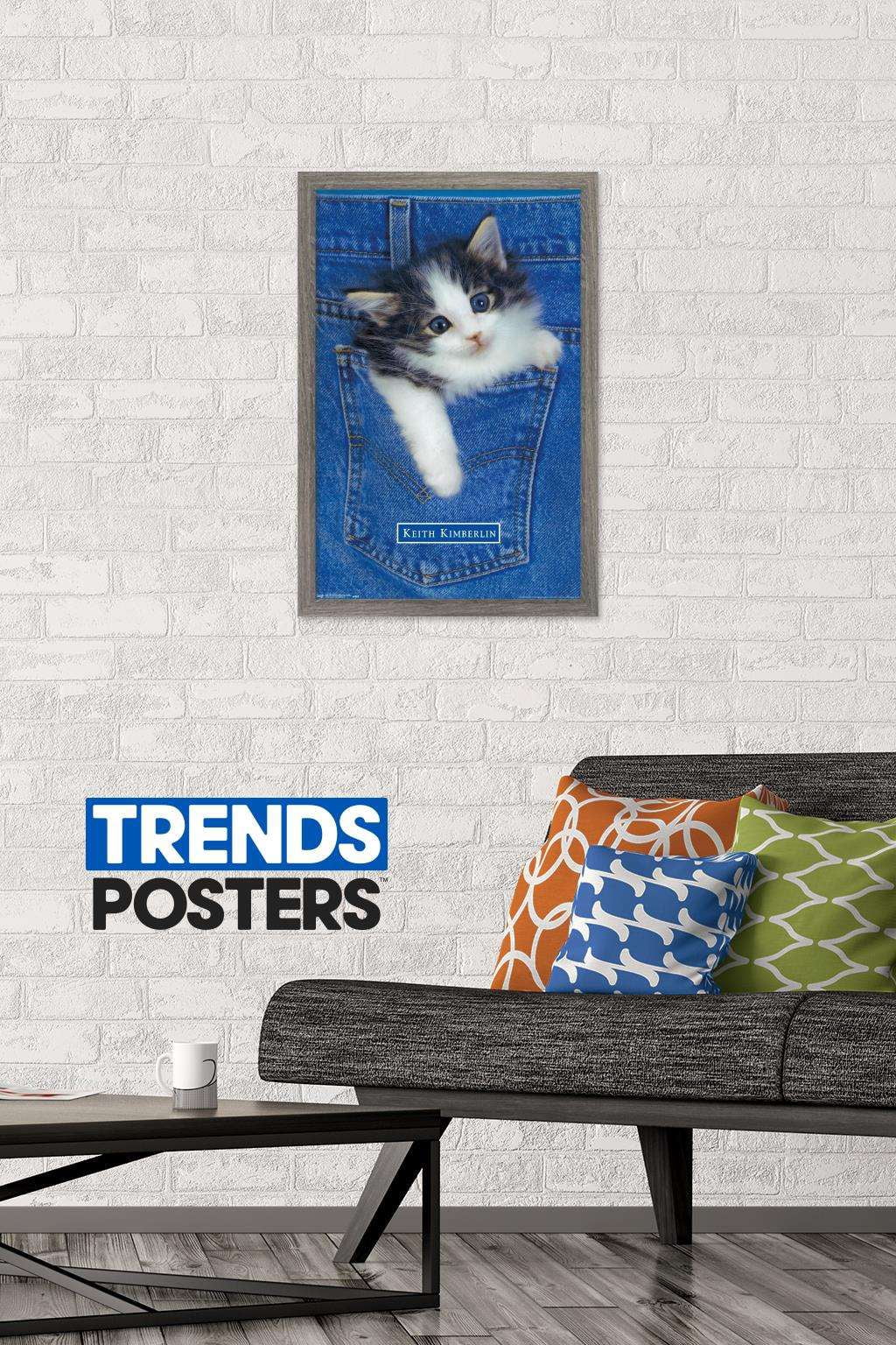Keith Kimberlin - Kitten - Pocket Wall Poster, 14.725" x 22.375", Framed
