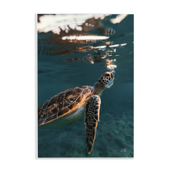Stupell Industries Blowing Bubbles Turtle Animals Photography Unframed Art Print Wall Art, 10 x 15
