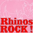thumbnail image 3 of CafePress - Rhinos Rock ! Women's Dark T Shirt - Women's Traditional Fit Dark T-Shirt, 3 of 4