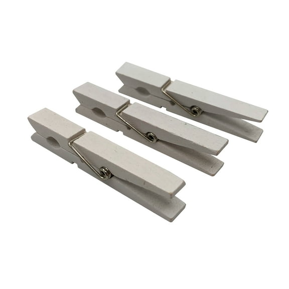 Recollections Large Clothespins Craft It, 12 Packs: 48 ct. (576 total)