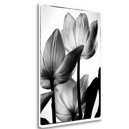 Tangletown Fine Art 'Translucent Tulips III' Photographic Print on Canvas