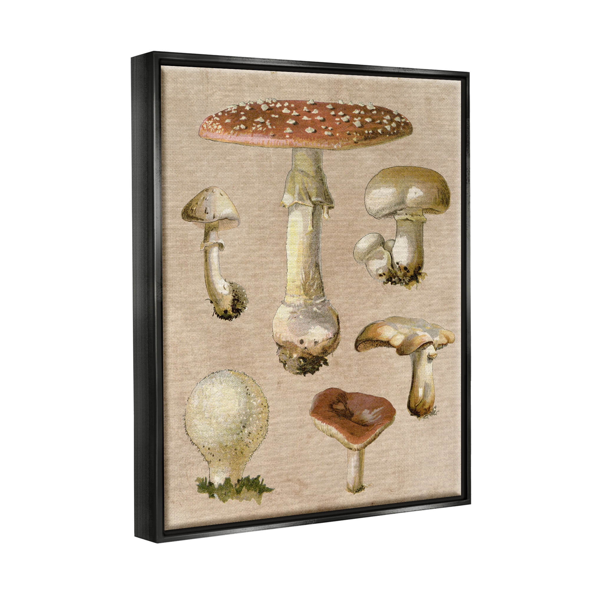 Stupell Industries Vintage Neutral Mushrooms Botanical & Floral Painting Black Floater Framed Canvas Art Print Wall Art, 17 x 21