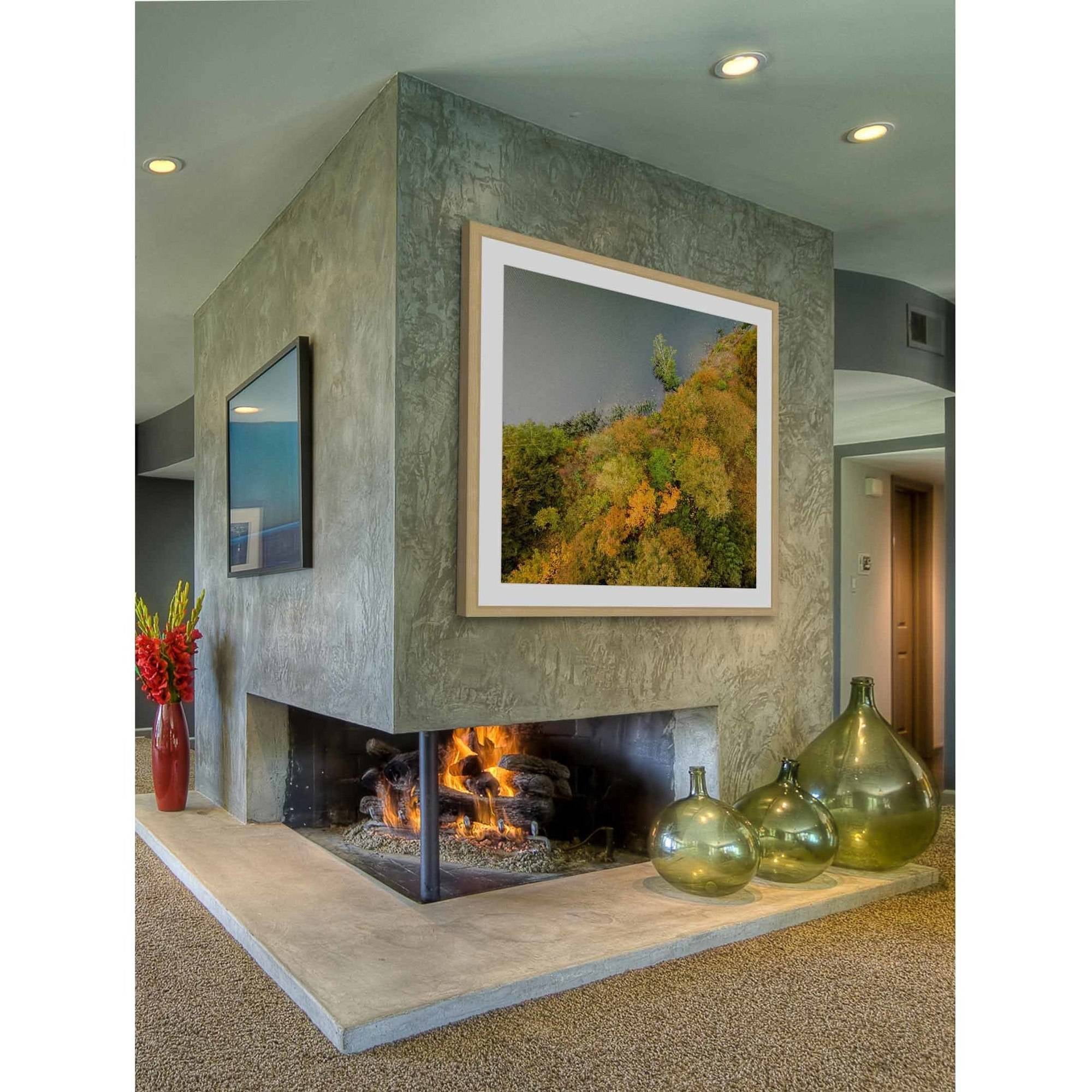 Marmont Hill 'Plant Wall' by Karolis Janulis Framed Photographic Print