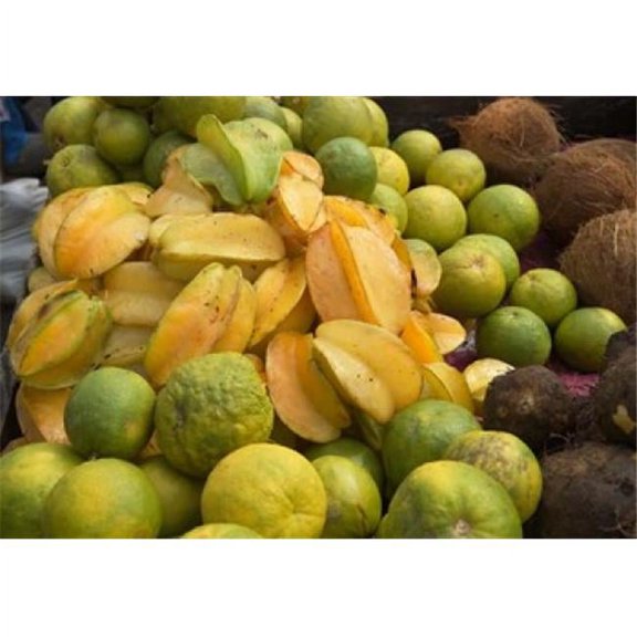 Star Fruit & Citrus Fruits Grenada Caribbean Poster Print by Paul Thompson - 25 x 18 in.