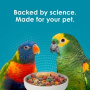 Kaytee Forti-Diet Pro Health Nourish+Protect Parrot Food 8 Pounds
