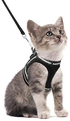 Puppy Dog Cat Kitten BLACK COMFY Harness And Lead Set Washable Fully Adjustable 