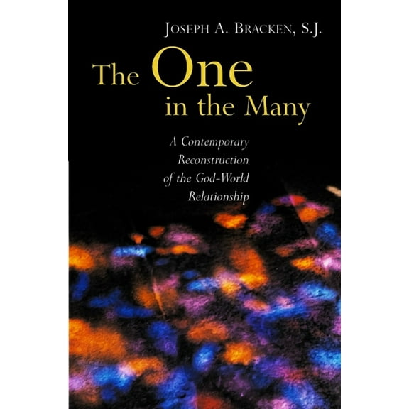 The One in the Many: A Contemporary Reconstruction of the God-World Relationship, (Paperback)