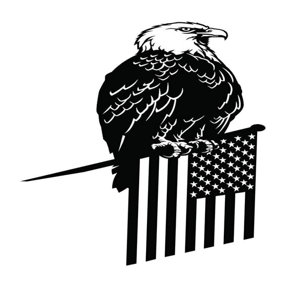 Metal Eagle Weather Vane Decorative Cottage Garage Cupola Garden Yard Silhouette Art Architectural Style Ornaments