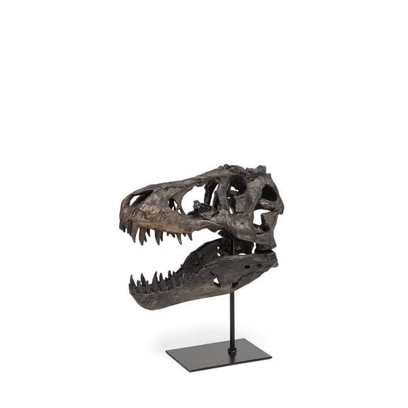 Brown Resin Tyrannosaurus Rex Skull DÃ©cor Piece