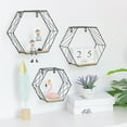 thumbnail image 5 of SPRING PARK Floating Shelves Wall Mounted Metal Wire Art Hexagon Shelves with Solid Wood Board for Plant Display, Storage Rack & Organiser, Home Decoration Wall Shelf, 5 of 7